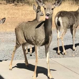 Meet your Posher, Patricia